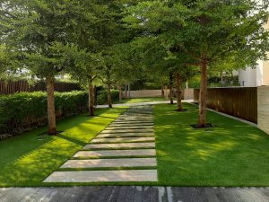 Landscaping project completed in Dubai