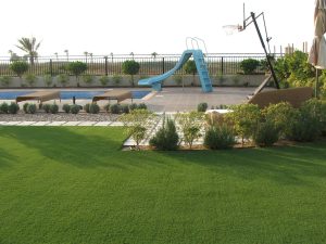 Hotel Artificial Grass in Dubai