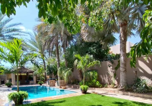 Landscaping Company Dubai 4