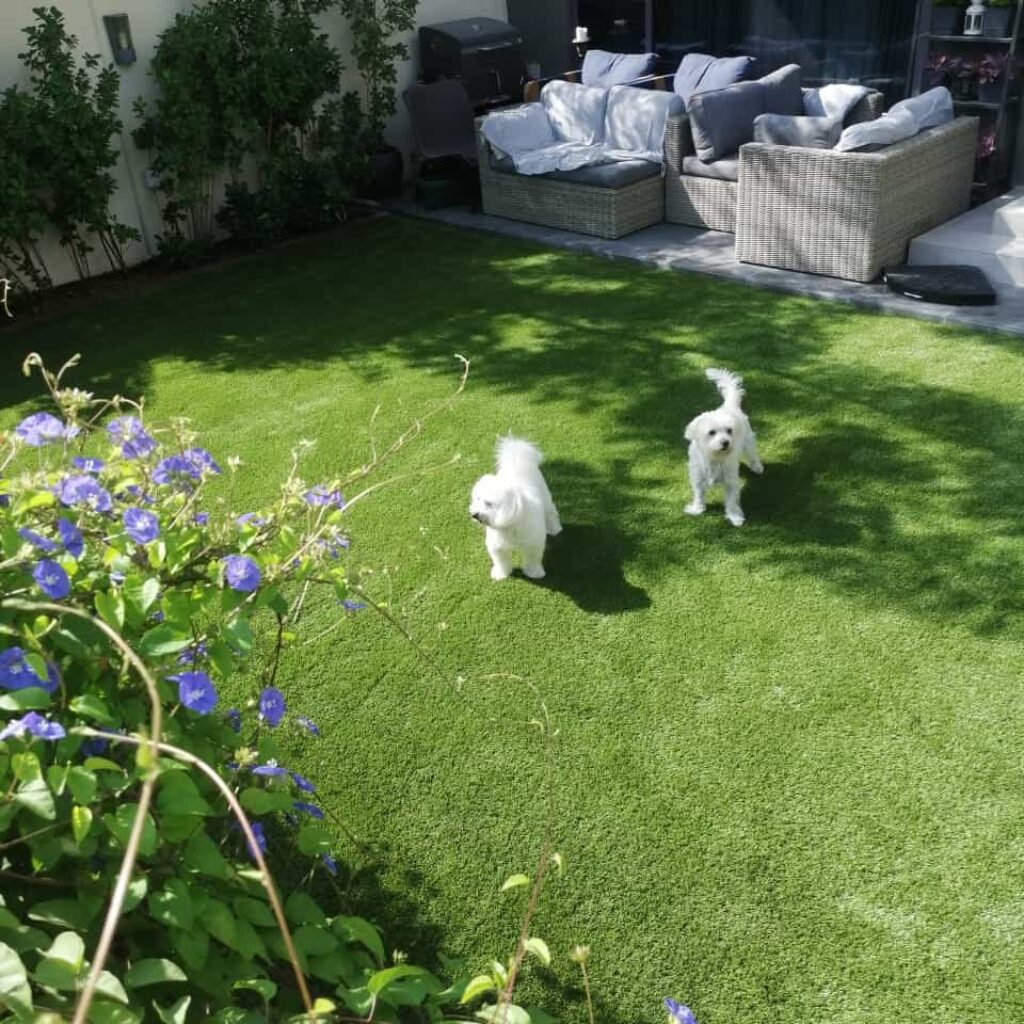Easi Landscapes