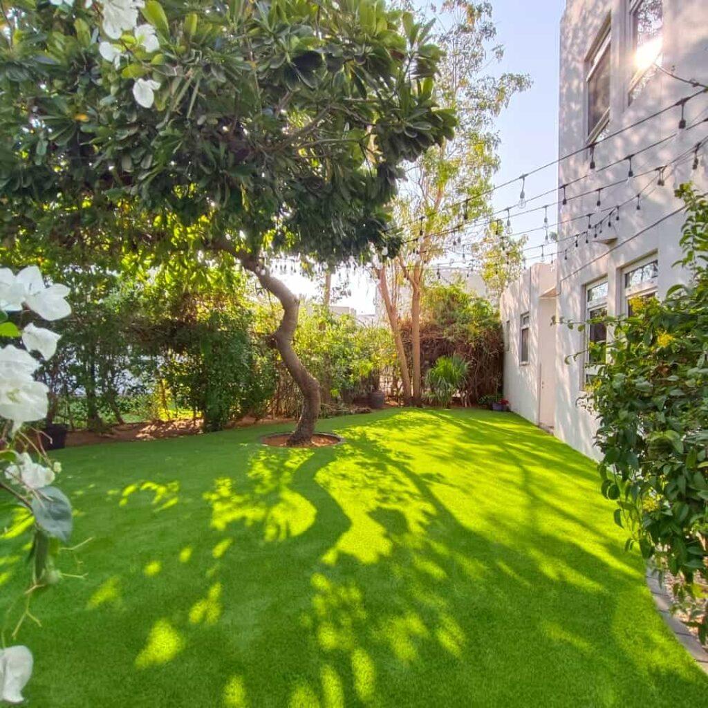 Easi Landscapes